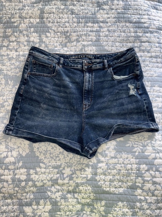 American Eagle Outfitters Pants - American Eagle Mom Shorts